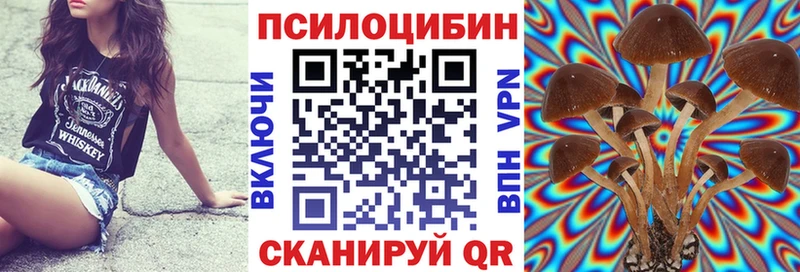 что такое наркотик  Абдулино  Галлюциногенные грибы Psilocybe 
